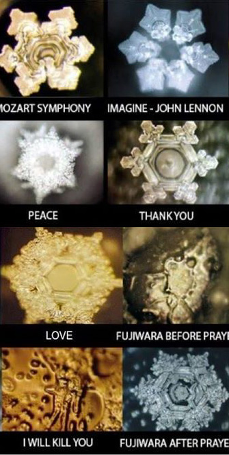 masaru emoto woda